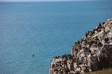 《漫威蜘蛛侠》系列销量突破3300万套 工作室致谢
