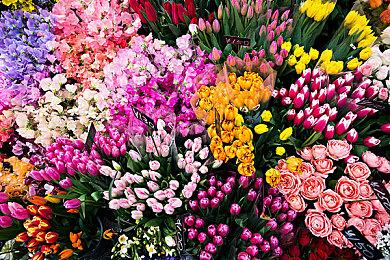 赛博朋克推理游戏《罪城骇客》今日Steam发售 支持简体中文