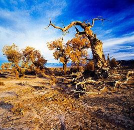 最近块魂了吗？《人见人爱的块魂 安可+ 国王大人的小小回忆》今日上市！