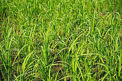 365天不登录账号会被游戏公司删号？法院判了：无效