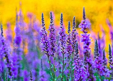 《逃离塔科夫》引擎升级完成 未来将支持DLSS